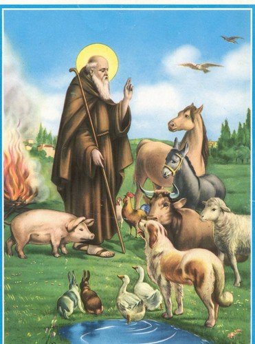 sant'antonio abate